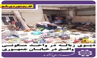 دپوی زباله در واحد مسکونی واقع در خیابان جمهوری